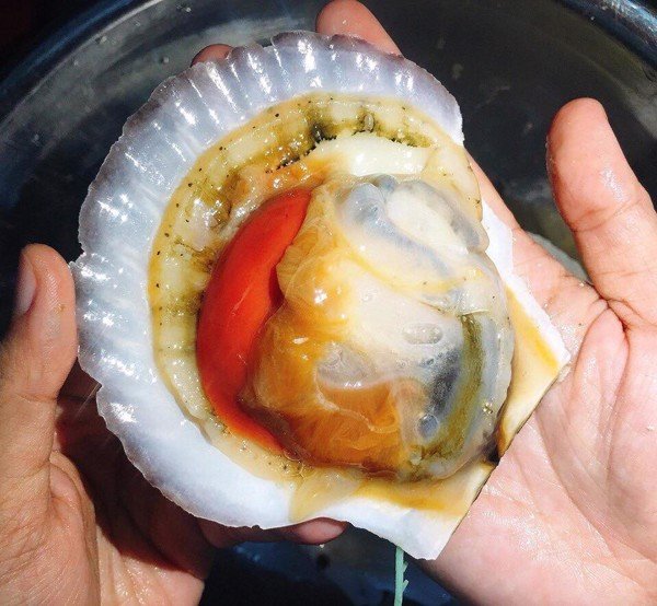 so-diep-nhat-nguyen-con-2